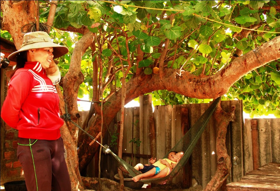 Cây tra bảo vệ làng chài, cho bóng mát