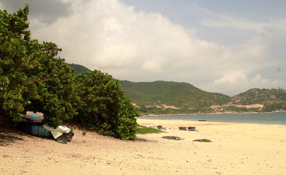 Điều ít người biết về "bức tường" chắn bão cho làng chài - 5