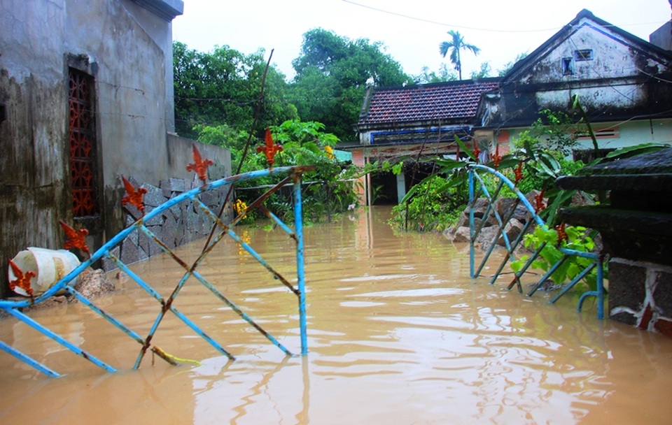 Mưa lũ “càn quét” vùng núi, trung du Bình Định - 6