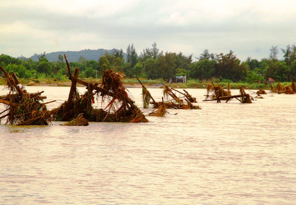 Mưa lũ ở Phú Yên những ngày qua khiến nguồn nước bị ngọt hóa dẫn đến tôm hùm chết hàng loạt