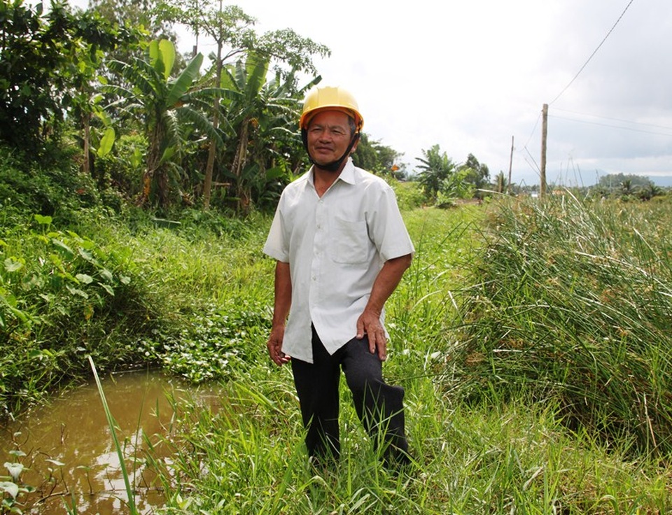Ngoài trồng cói ông Phó còn nuôi cá tăng thêm thu nhập