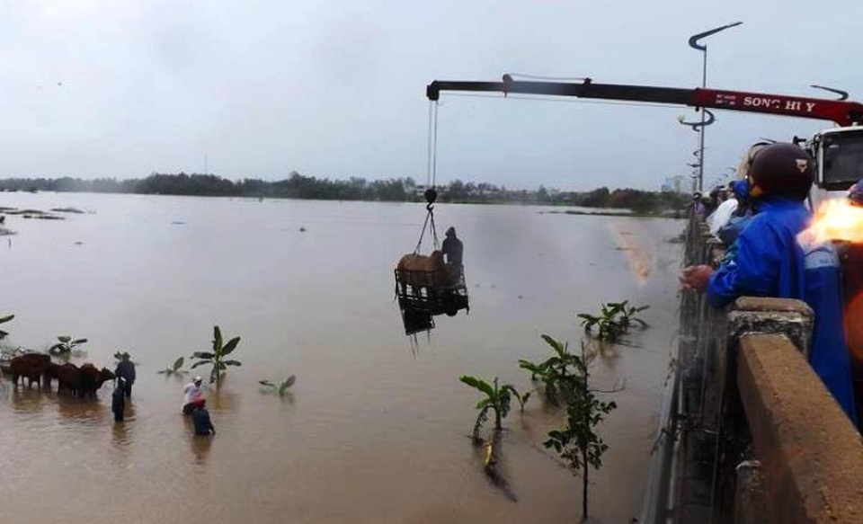 Độc chiêu dùng xe cẩu “câu” bò thoát dòng nước lũ - 1
Độc chiêu dùng xe cẩu câu bò thoát dòng nước lũ ở Phú Yên