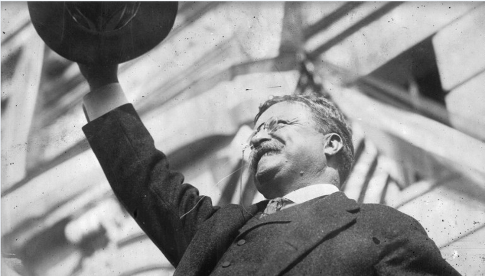 Theodore Roosevelt (nhiệm kỳ 1901-1909): Tổng thống Theodore Roosevelt bị mắc bệnh hen suyễn và bị mù một bên mắt do chấn thương khi tham gia một trận đấu quyền anh vào năm 1905. Ngoài ra, ông cũng bị điếc một bên tai.