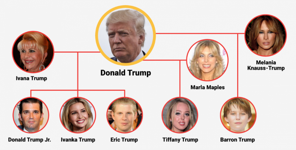 Sơ đồ các thành viên trong gia đình ông Donald Trump (Ảnh: BI)