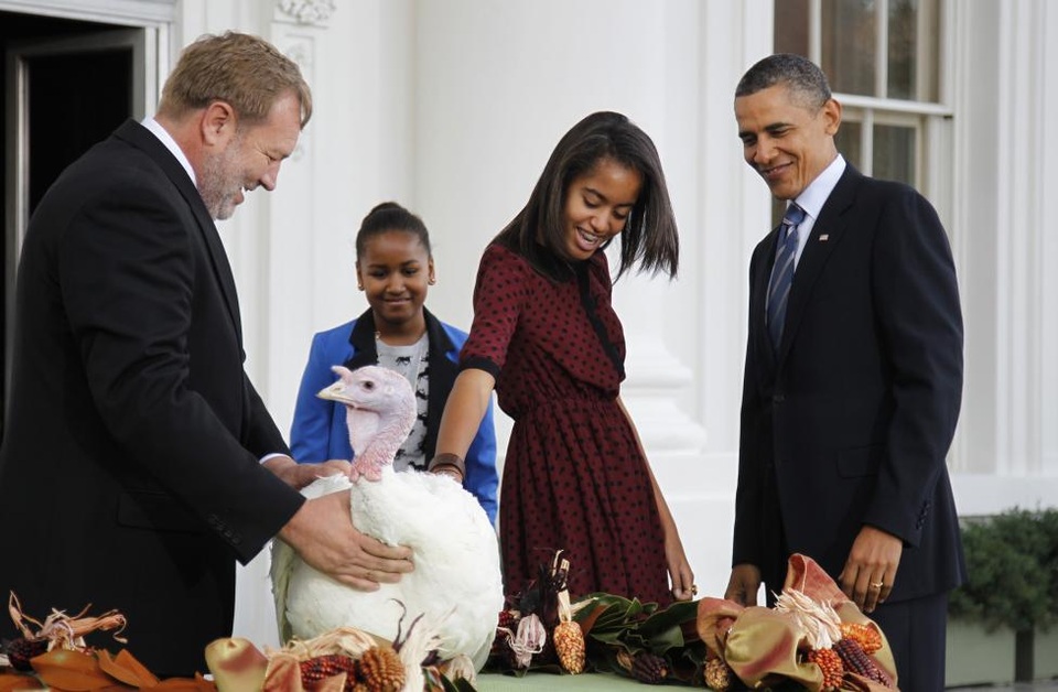 Những mùa lễ Tạ ơn của Tổng thống Obama trong Nhà Trắng - 7 Khoảnh khắc vui vẻ của gia đình Tổng thống Obama trong lễ xá tội cho gà tây vào ngày 23/11/2011. Lễ xá tội được tổ chức với mục đích tha tội chết cho 2 con gà tây trước ngày lễ Tạ ơn tại Mỹ. Trong ngày này, các gia đình ở Mỹ sẽ chế biến ít nhất một con gà trên bàn tiệc mừng lễ Tạ ơn của họ (Ảnh: Reuters)