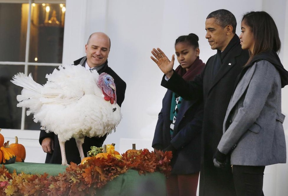 Những mùa lễ Tạ ơn của Tổng thống Obama trong Nhà Trắng - 5 Lễ xá tội cho gà tây năm 2013 diễn ra tại cổng phía bắc của Nhà Trắng với sự tham gia của Tổng thống Obama, hai con gái của ông và Chủ tịch Hiệp hội gà tây quốc gia John Burkel. Ân xá cho gà tây là một nghi lễ truyền thống được duy trì qua nhiều đời tổng thống Mỹ. (Ảnh: Reuters)