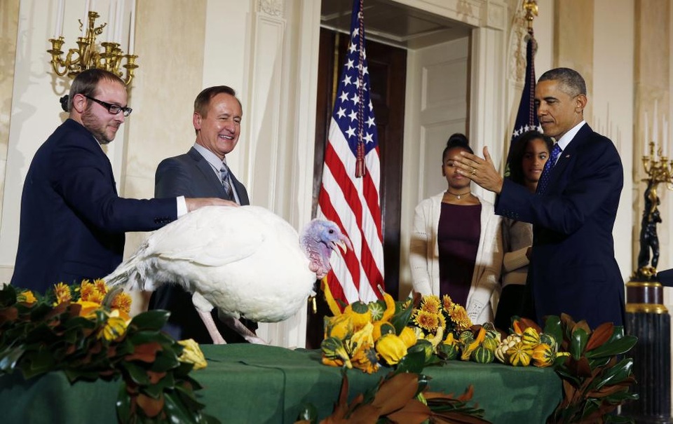 Những mùa lễ Tạ ơn của Tổng thống Obama trong Nhà Trắng - 4 Nghi lễ xá tội cho gà tây vào lễ Tạ ơn năm 2014 được Tổng thống Obama thực hiện trong phòng, thay vì ngoài trời, ở cổng phía bắc của Nhà Trắng. Lễ Tạ ơn được người Mỹ tổ chức hàng năm vào thứ 5 cuối cùng của tháng 11. Đây là dịp để mọi người cảm ơn Chúa vì đã ban phát phước lành cho họ. (Ảnh: Reuters)