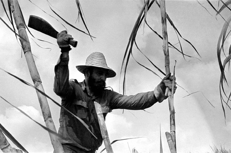 Chân dung lãnh tụ kiệt xuất Fidel Castro qua ảnh - 11
Fidel Castro cùng với các đồng chí của mình đã phải vượt qua nhiều khó khăn để xây dựng thành công một đất nước xã hội chủ nghĩa ở châu Mỹ. Trong ảnh: Chủ tịch Cuba Fidel Castro tự tay cầm dao chặt mía trên cánh đồng vào năm 1970 (Ảnh: Getty)