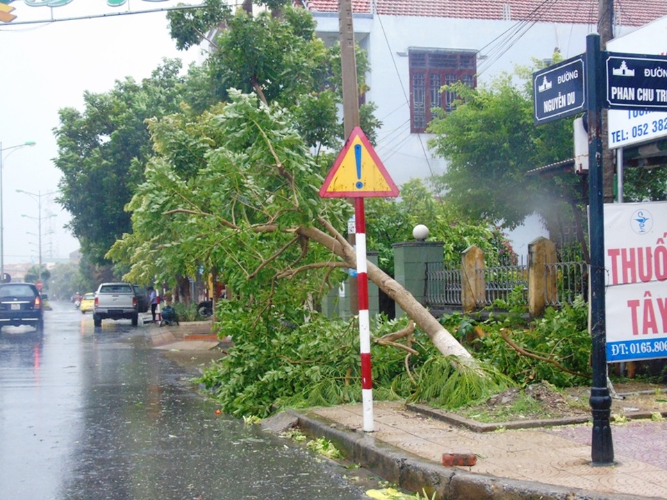 Quảng Bình: 1 người mất tích, 11 người bị thương trong bão số 4 - 2 Bão cũng đã làm nhiều cây xanh bật gốc