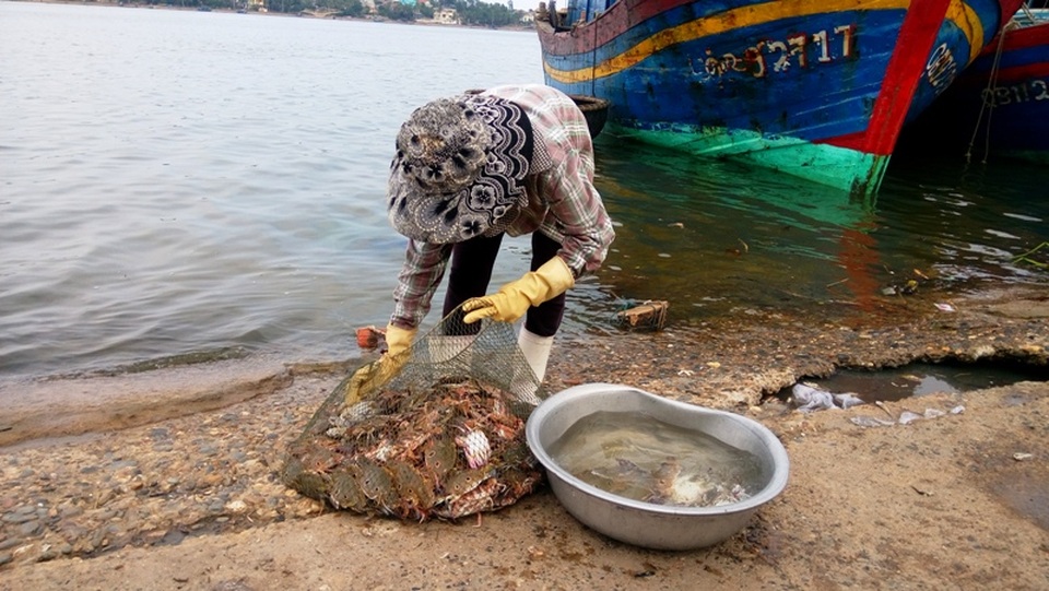 Dân hoang mang sau khuyến cáo "không sử dụng một số loại hải sản" - 1 Ghẹ được bày bán ở chợ Đồng Hới (ảnh chụp chiều 20/9)