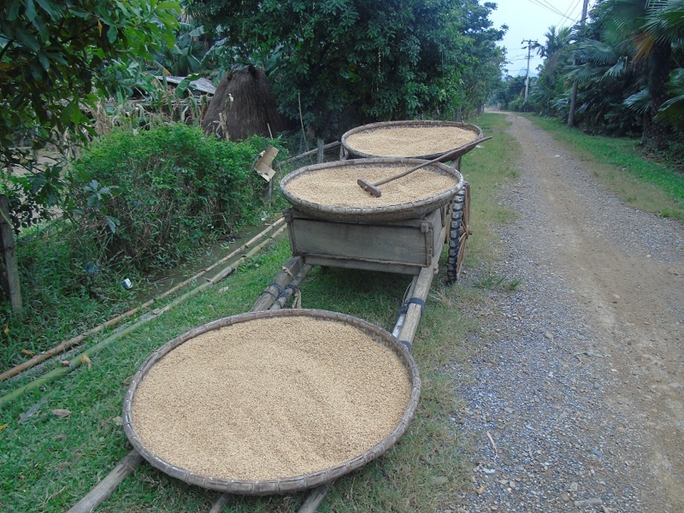 Người dân vùng “rốn lũ” bơ phờ sau cơn lũ lịch sử - 17 Người dân vùng “rốn lũ” bơ phờ sau cơn lũ lịch sử - 17