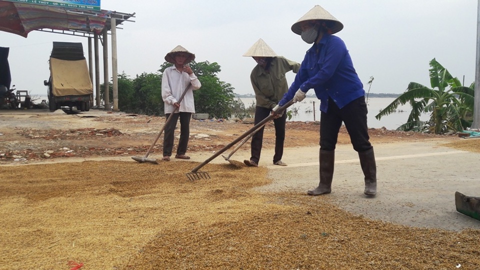 Nắng lên, người dân tranh thủ phơi sấy cho khô với hy vọng còn sử dụng được (Ảnh: Đặng Tài)