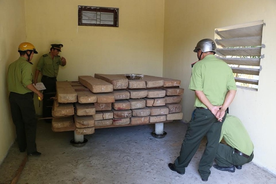 Giám đốc Sở dùng kho cơ quan để cất giữ gỗ trái phép - 1 Lô gỗ không rõ nguồn gốc và không có giấy tờ hợp pháp. (Ảnh Q.N)