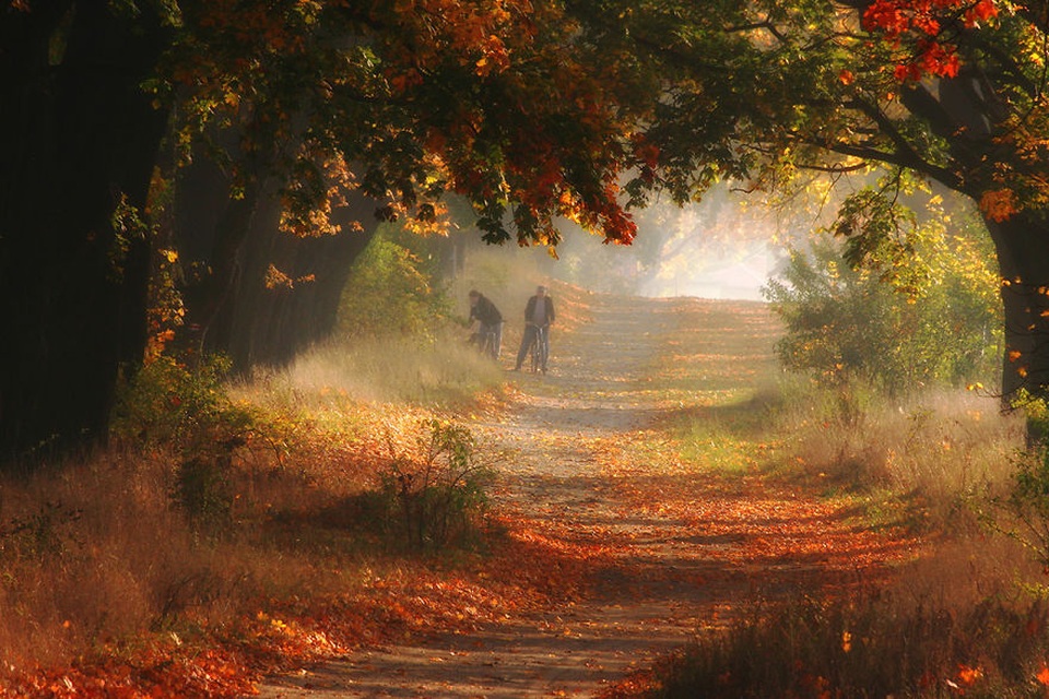 Bộ ảnh đẹp ngoạn mục chụp ở nơi “trái tim của mùa thu” - 2 Bộ ảnh đẹp ngoạn mục chụp ở nơi “trái tim của mùa thu” - 2