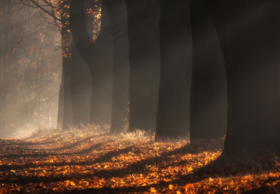 Bộ ảnh đẹp ngoạn mục chụp ở nơi “trái tim của mùa thu” - 3 Bộ ảnh đẹp ngoạn mục chụp ở nơi “trái tim của mùa thu” - 3