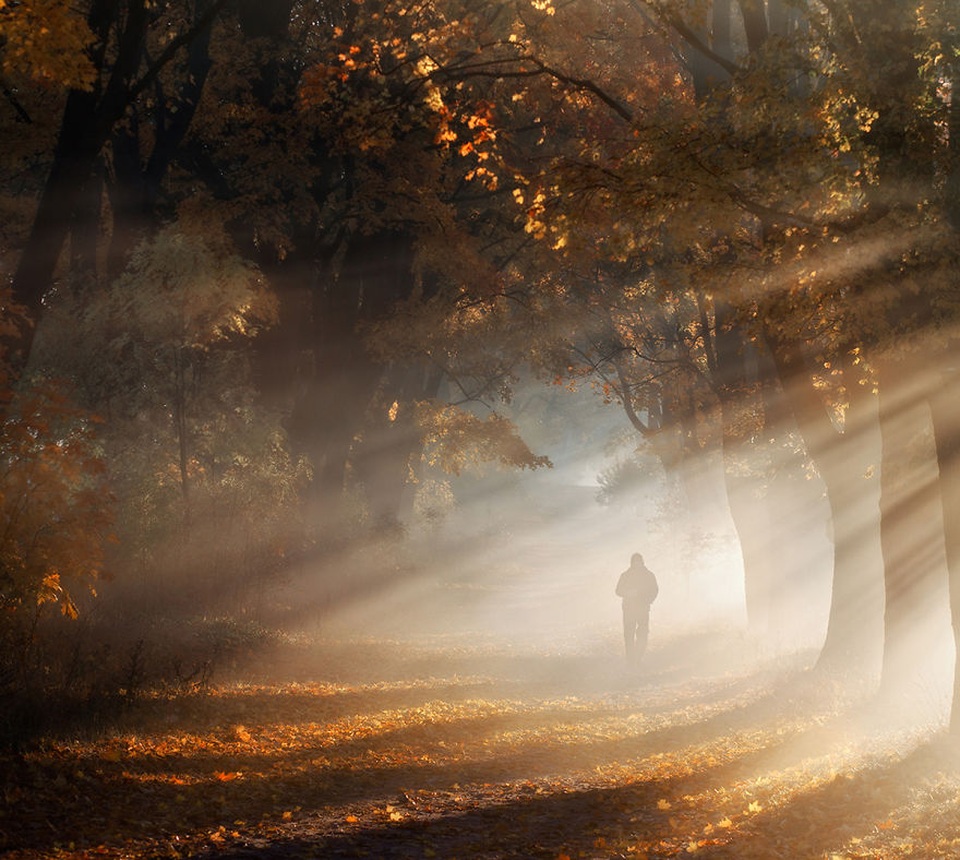 Bộ ảnh đẹp ngoạn mục chụp ở nơi “trái tim của mùa thu” - 9 Bộ ảnh đẹp ngoạn mục chụp ở nơi “trái tim của mùa thu” - 9