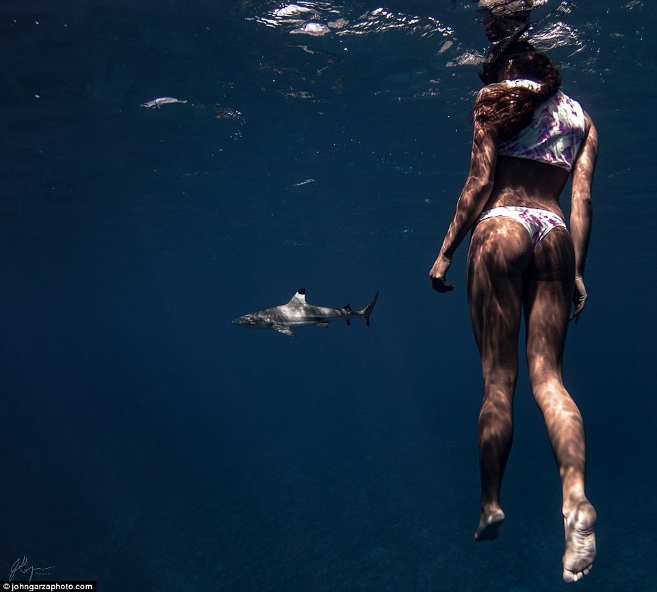 Rava Ray được mệnh danh là “Nữ hoàng cá đuối” vì cô rất thân quen với loài sinh vật này, ngoài ra, cô còn có thể bơi bên cạnh cá mập, cá voi, rùa biển, cá heo…