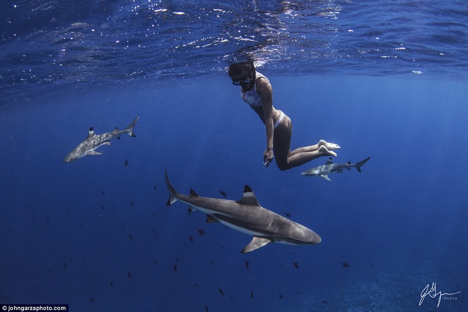 Rava đã lớn lên cùng với đại dương và những loài sinh vật biển. Khi ở bên biển cả, cô tìm thấy sự bình yên, thư thái.