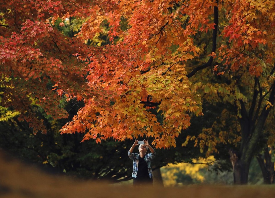 Công viên Washington Park ở thành phố Albany, bang New York, Mỹ.