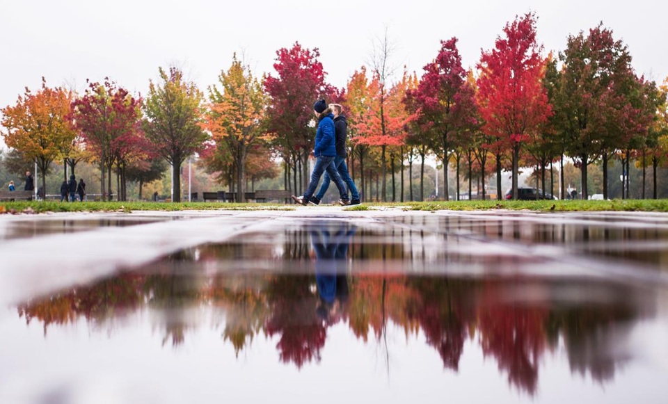 Cảnh vật phản chiếu trong một vũng nước đọng lại sau cơn mưa đêm ở Berlin, Đức.