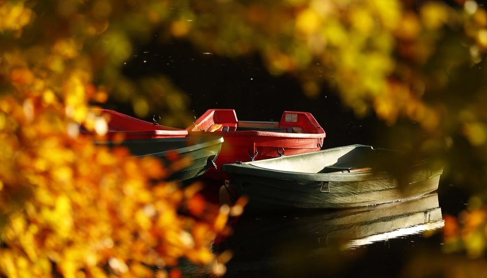 Thuyền neo đậu bên hồ Loch Faskally, Scotland.