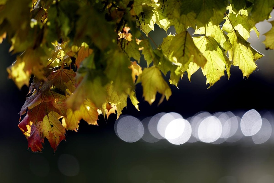 Khung cảnh Munich, Đức.