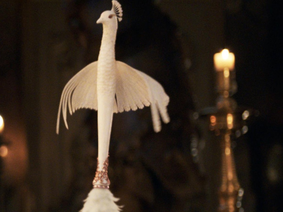 Cô chổi phủi bụi Fifi.