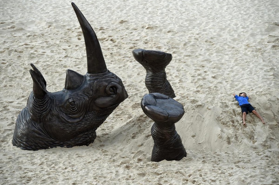 Tác phẩm điêu khắc “Hà mã tắm cát” xuất hiện trên bãi biển Bondi, Sydney, Úc.