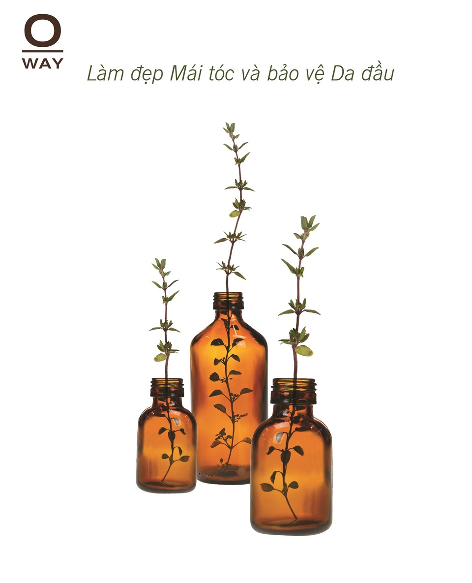 Vẻ đẹp tự nhiên là vẻ đẹp bền vững nhất - 2 Oway - Dòng sản phẩm chăm dưỡng Tóc chuyên nghiệp được chứng nhận Sinh học năng lượng