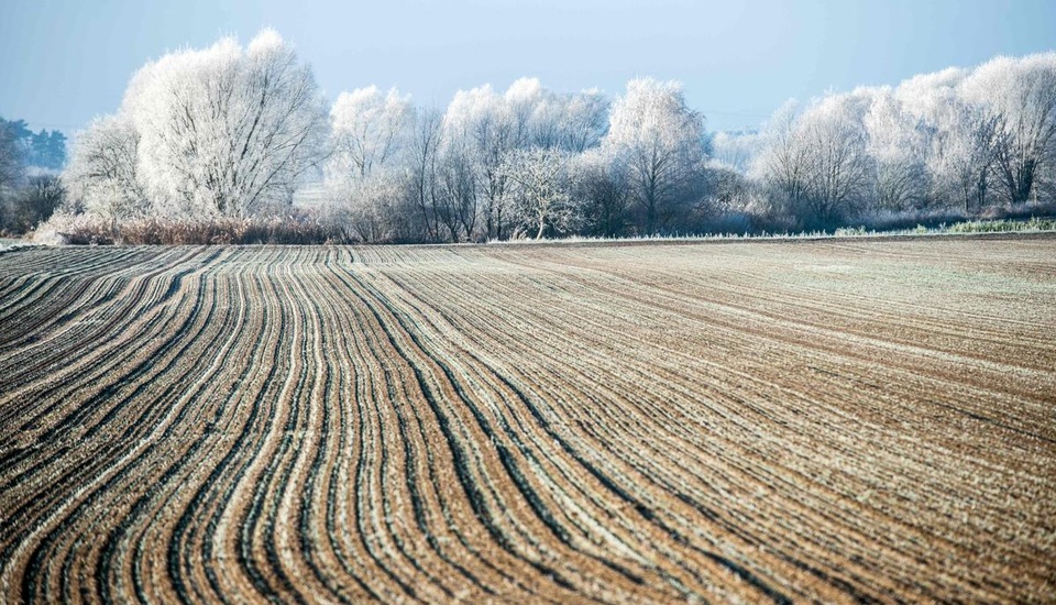 Sương muối bao phủ cảnh vật ở đô thị Sieversdorf, miền đông nước Đức.