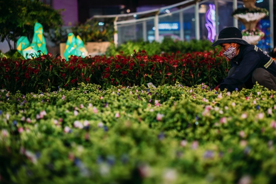 Đường hoa Nguyễn Huệ kéo dài thêm ngày hội - 2 Đường hoa Nguyễn Huệ kéo dài thêm ngày hội - 2