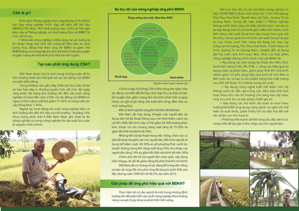 Mô hình thu hồi nước từ lúa và xử lý rác thải để sản xuất nấm ăn - 3 Mô hình CSA đang được triển khai ở nhiều địa phương của Việt Nam với kỳ vọng thúc đẩy sản xuất nông nghiệp phát triển một cách bền vững, đem lại hiệu quả kinh tế cao.