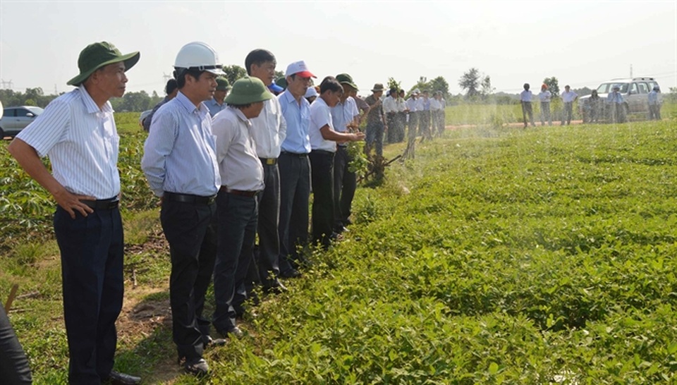 Mô hình trồng lạc tưới tiết kiệm nước ở xã Cam Thủy, huyện Cam Lộ.