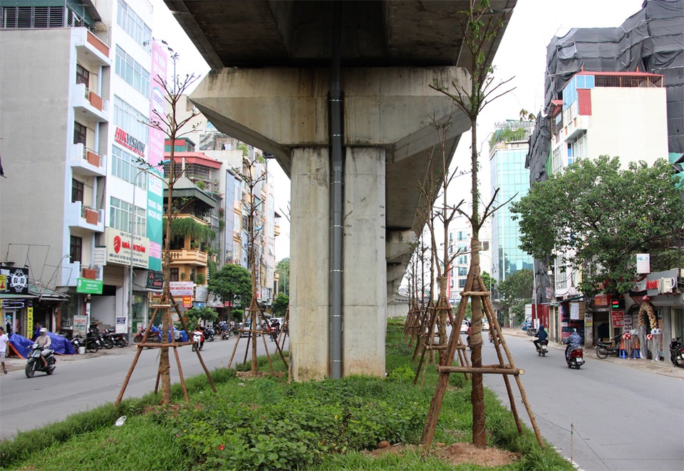 Hà Nội trồng hàng trăm cây xanh dưới gầm đường sắt trên cao - 3 Hà Nội trồng hàng trăm cây xanh dưới gầm đường sắt trên cao - 3