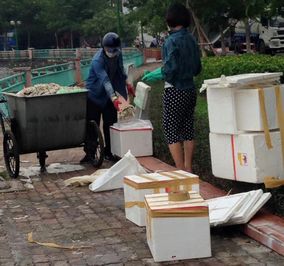 Điều tra hình ảnh đôi nam nữ lấy cá chết Hồ Tây cho vào hộp xốp - 1 Đôi nam nữ đang tiến hành cho cá chết bốc mùi ở Hồ Tây vào những thùng xốp, nhiều khả năng sẽ mang đi tiêu thụ (Ảnh: anh Đặng Như Quỳnh cung cấp).