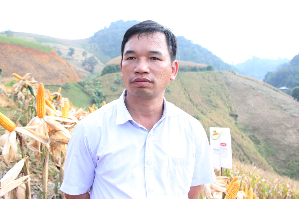 Ông Dương Gia Định đánh giá rất cao về giống ngô biến đổi gen đang được triển khai trồng trên địa bàn tỉnh Sơn La.