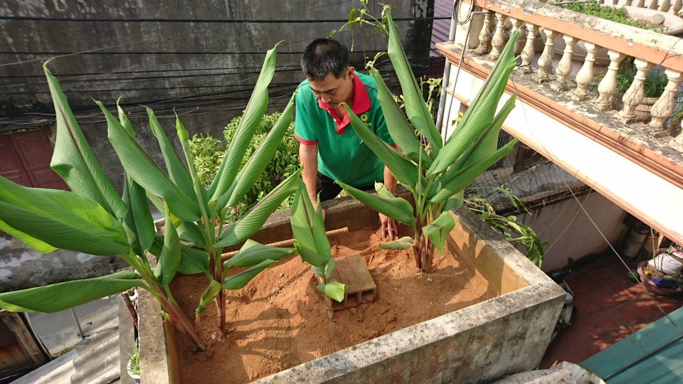 
Nhà anh Trương Tuấn Bảo bao thế hệ vẫn phải dùng nước giếng khoan để sinh hoạt. Ảnh: Bể lọc nước giếng khoan của gia đình anh Bảo.
