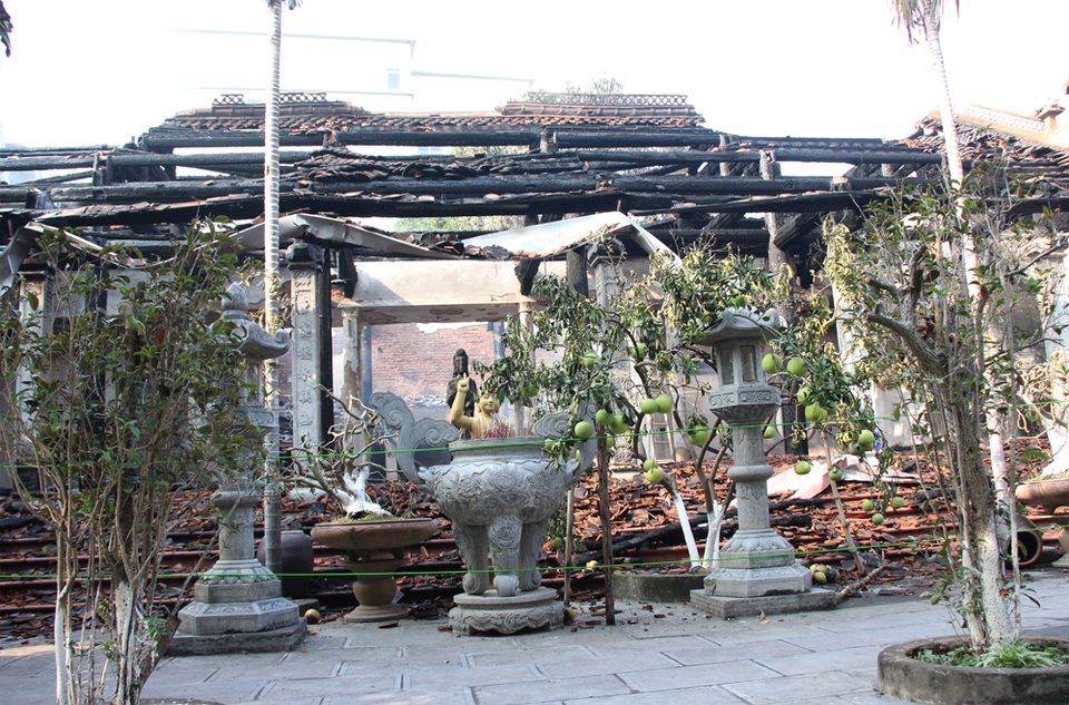 
Cây cảnh cạnh khu Nhà Tổ cũng bị sức nóng của ngọn lửa làm cho cháy sém.
