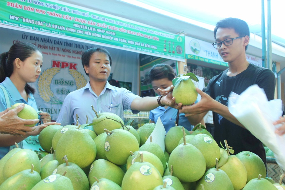 Huế nhộn nhịp với lễ hội thanh trà - 6