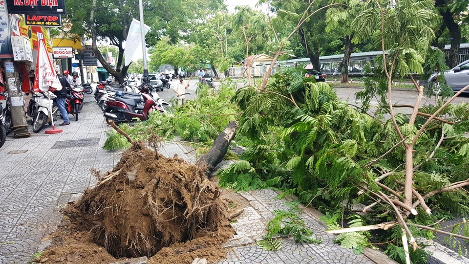 Đất bùn tràn vào hàng chục nhà dân - 3 Cây xanh bật gốc trên đường Nguyễn Huệ, TP Huế