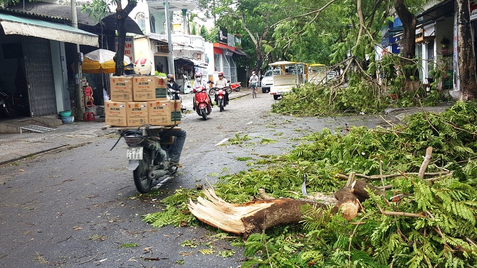 Cây đổ la liệt sau bão số 4, mưa ngập nhiều nơi - 9
Sáng nay giao thông trên nhiều tuyến phố bị cản trở.
