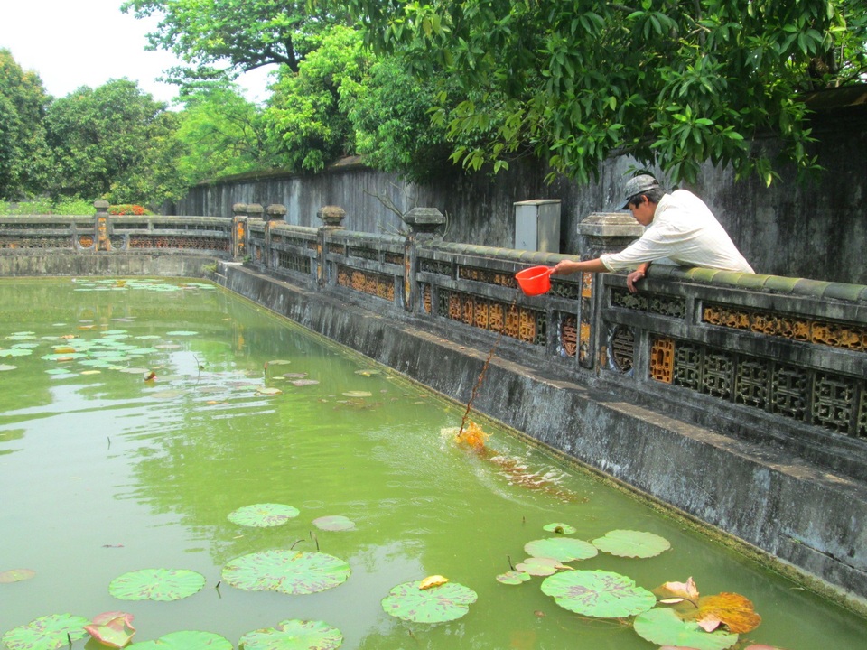 Bài 4: Tái tạo “cảnh quan cổ” cho di tích Huế: Cuộc chơi lắm công phu! - 6