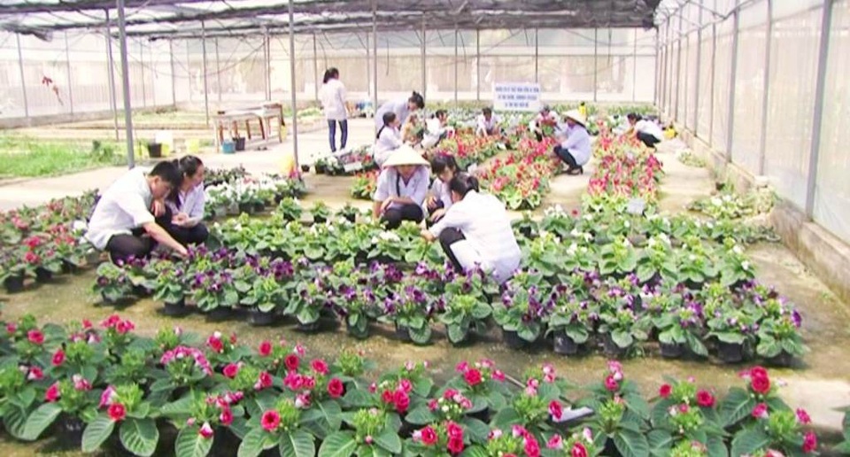 Trường đại học đầu tiên ở Huế thực hiện đánh giá ngoài - 2 Các sinh viên trường Đại học Nông lâm Huế trong giờ học thực hành
