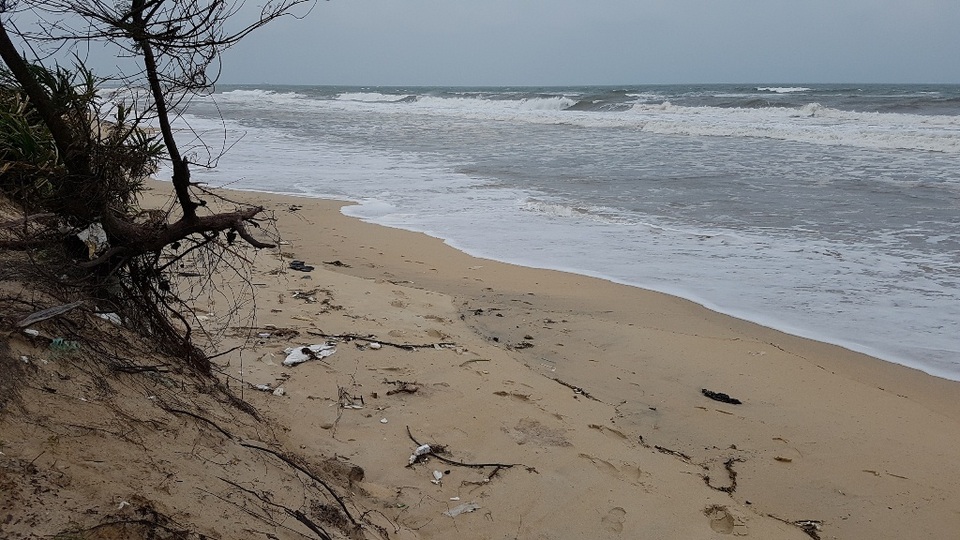 Lo sợ bão chưa vào, biển đã sạt lở nghiêm trọng - 1 Biển Phú Thuận đã ăn vào đến bờ