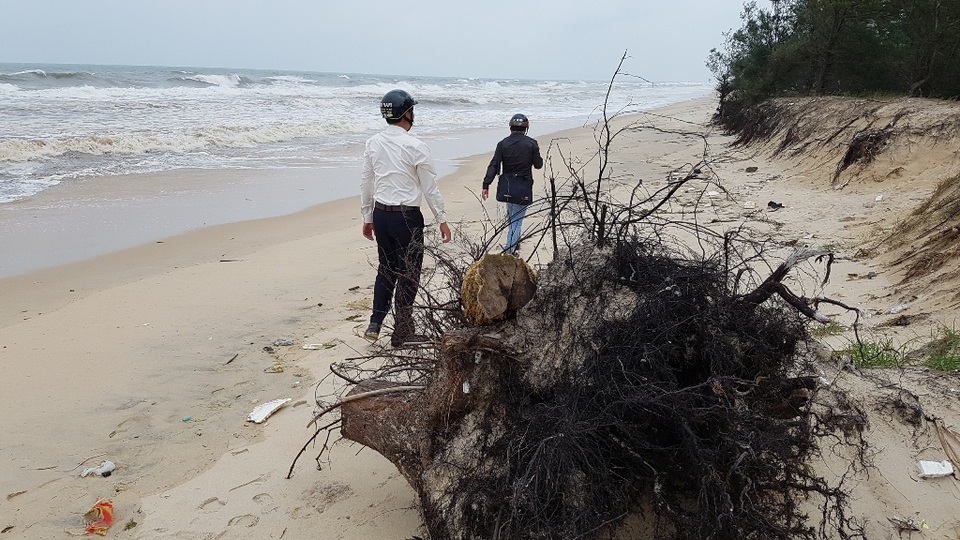Lo sợ bão chưa vào, biển đã sạt lở nghiêm trọng - 5 Những đoạn bờ biển bị sạt lở nặng ở thôn Tân An, Trung An của xã Phú Thuận