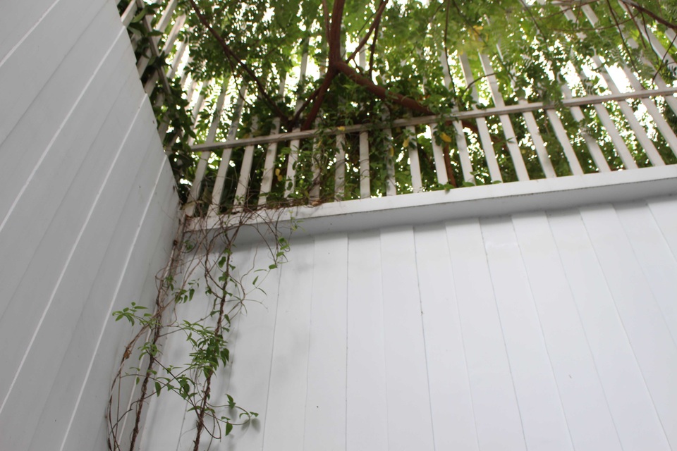 Những thanh sắt thưa giúp cây cối phát triển tự nhiên, làm cho không gian trở nên thoáng hơn, rộng rãi hơn