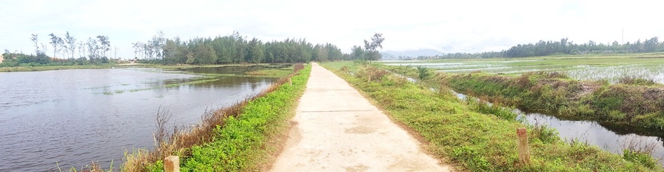 Hàng trăm hecta đất ruộng đang dần bị biển “nuốt chửng” - 4 Nước biển tràn từ rừng dương (bên trái) qua ruộng dân (bên phải)