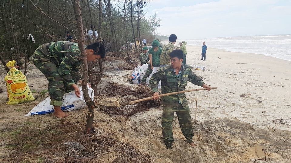 Hàng trăm hecta đất ruộng đang dần bị biển “nuốt chửng” - 6 Hàng trăm hecta đất ruộng đang dần bị biển “nuốt chửng” - 6