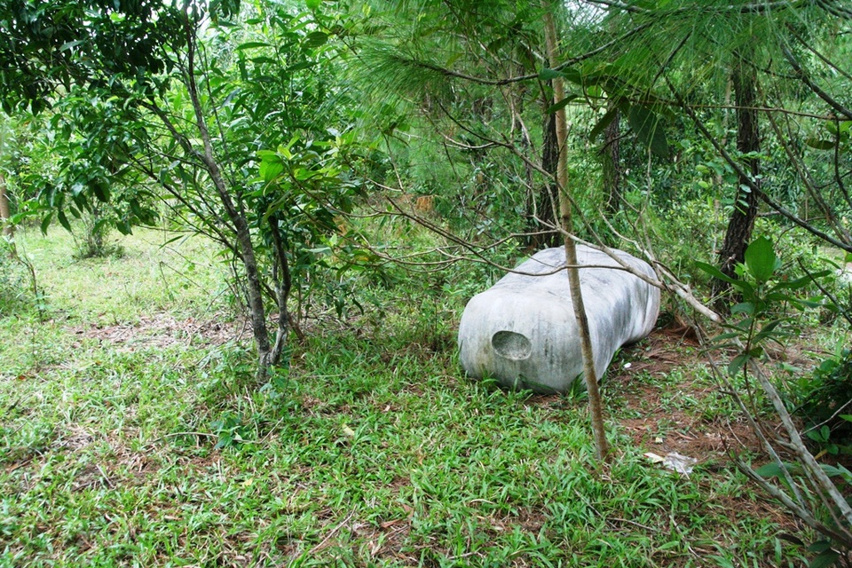Sẽ dời các vườn tượng bị bỏ hoang ra dọc sông Hương - 6 Nằm lăn lóc trong bụi cây