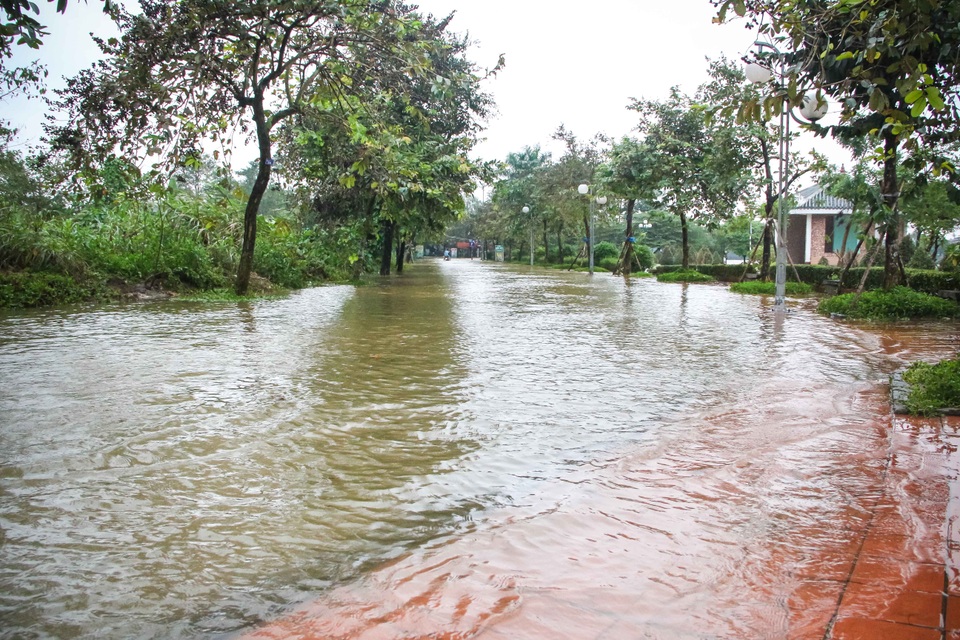 Đường Trịnh Công Sơn